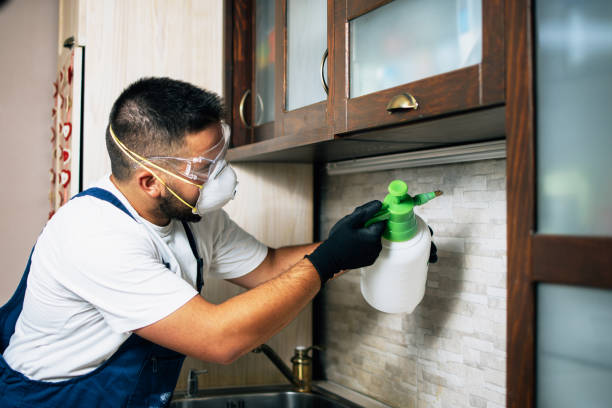 Best Cockroach Control Services  in Oak Grove, LA