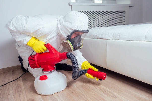Best Wasp Removal Services  in Oak Grove, LA