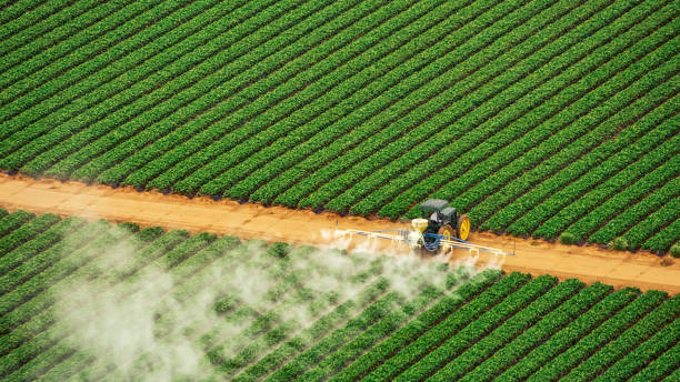 Best Pest Removal Services  in Oak Grove, LA