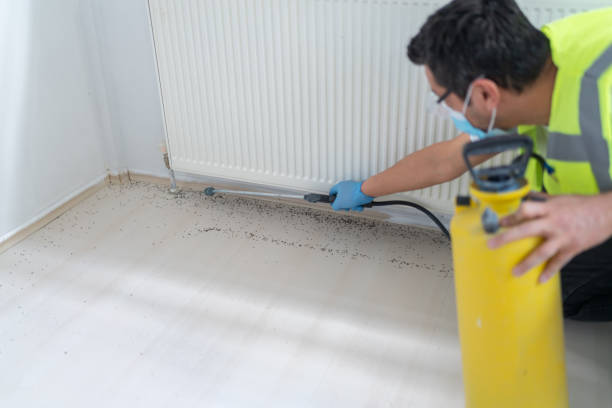 Best Bed Bug Extermination  in Oak Grove, LA